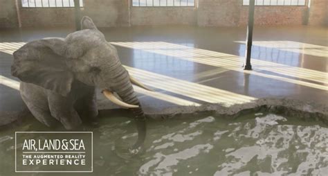 ar of zoo|AR in Zoos: Why No One Should Fear Digital Animals。